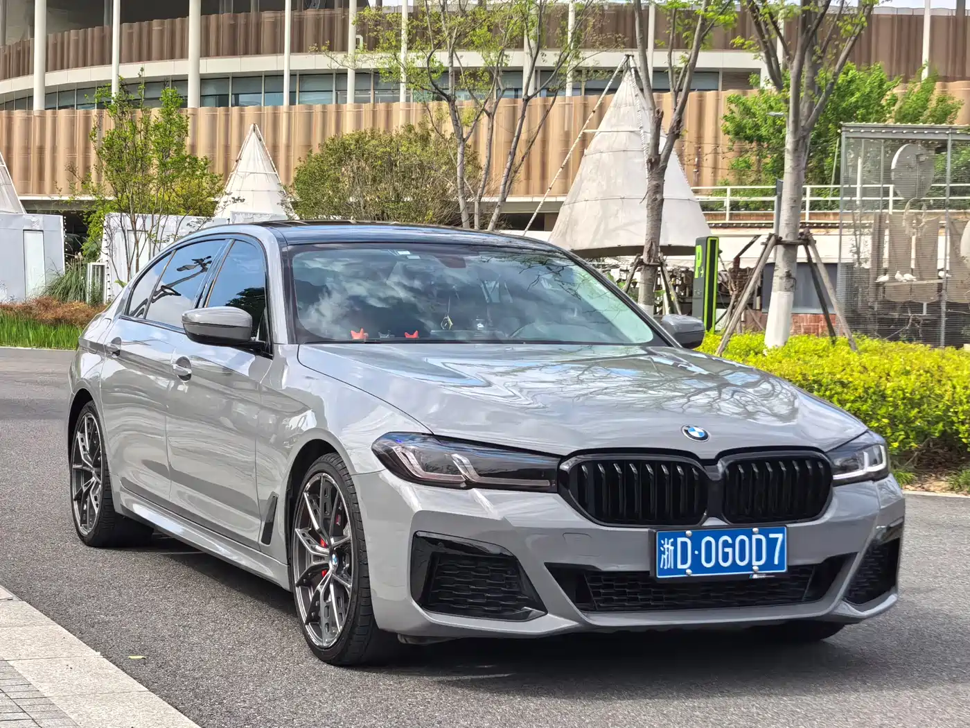 BMW 5 Series 2019 530Li Leading Luxury Package фото 3
