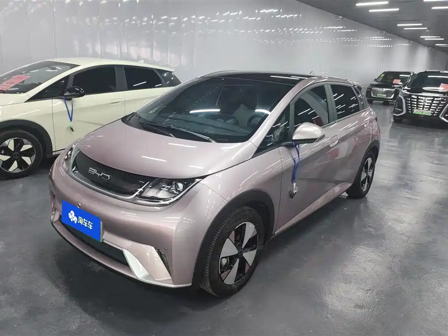 BYD Dolphin 2023 420km Fashion Edition