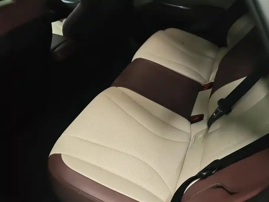 BYD Seal 2023 DM-i 1.5L 121km Premium фото 11