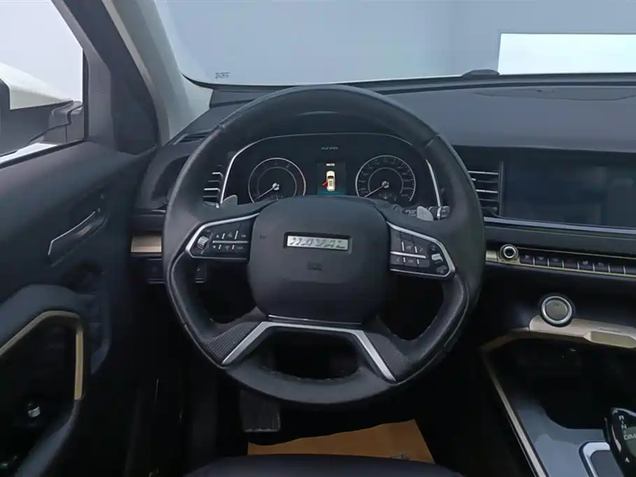 Haval H6 2020 1.5GDIT Automatic Platinum Champion Edition фото 15