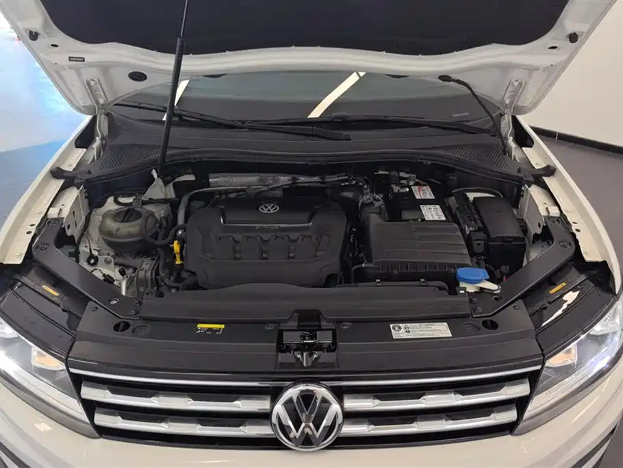 Volkswagen Tiguan L 2019 330TSI Auto 2WD Panorama Comfort Edition China V фото 10