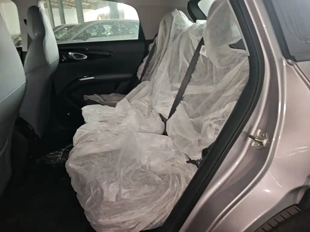Geely Galaxy Starry Wish 2026 2026 Edition 410km Freedom Version