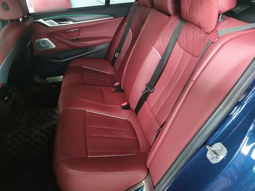 BMW 5 Series 2022 Facelift 530Li Leading M Sport Package фото 14