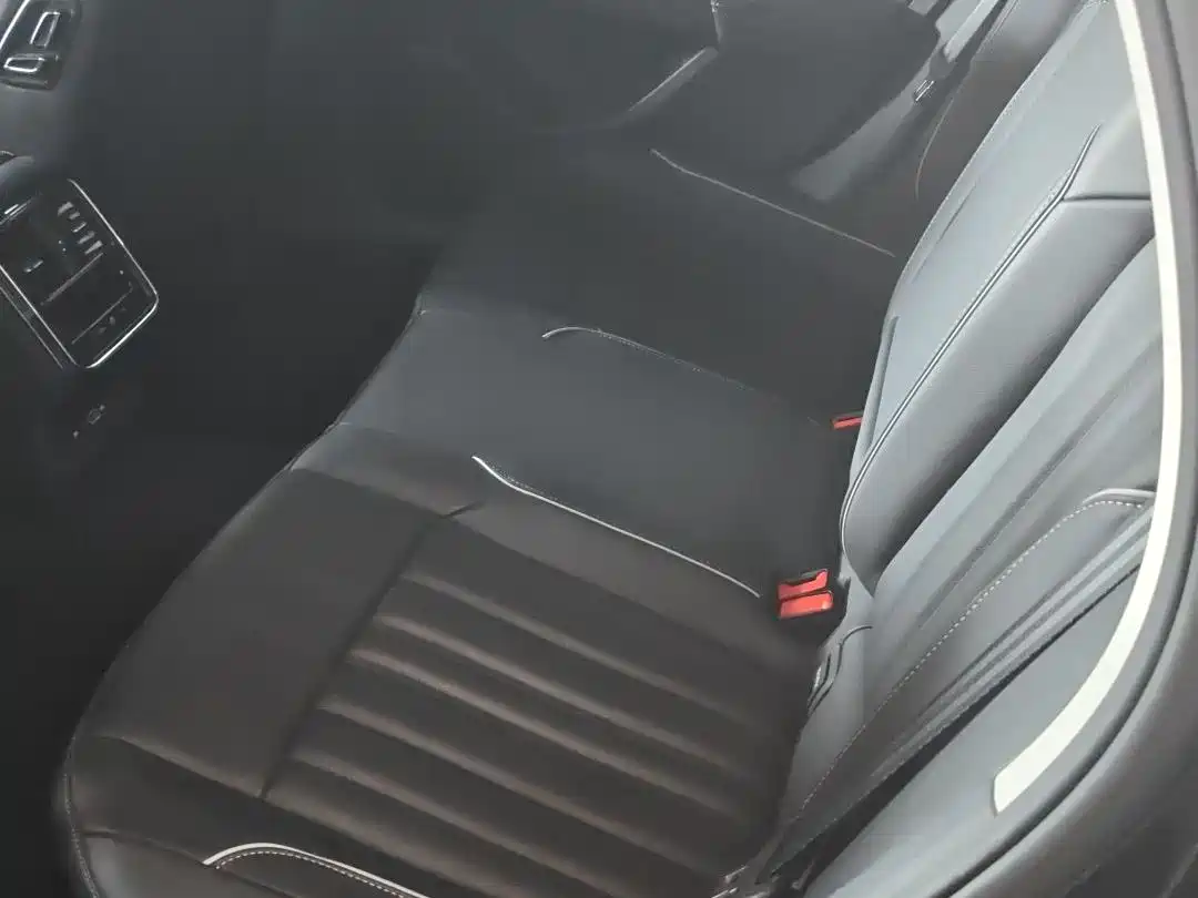 Volkswagen Passat 2023 330TSI Starlight Elite Edition фото 4