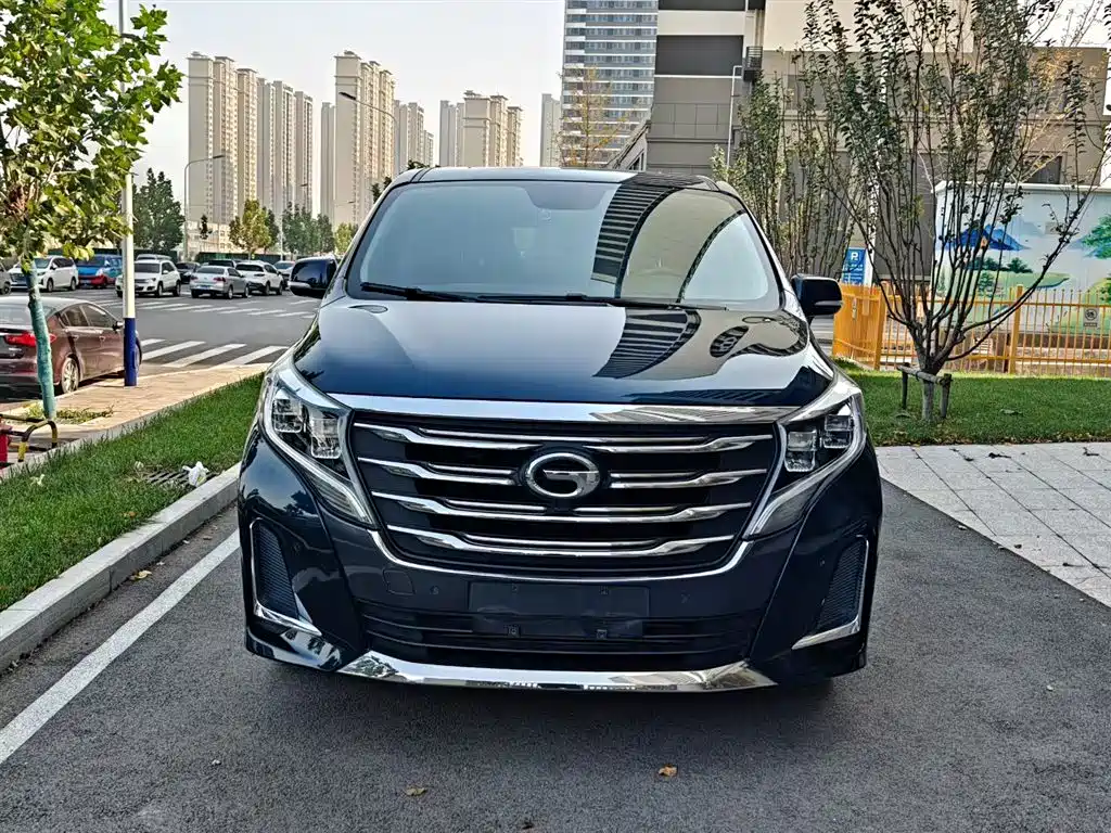 GAC Trumpchi Trumpchi M8 2020 Pilot 390T Prestige Edition фото 8