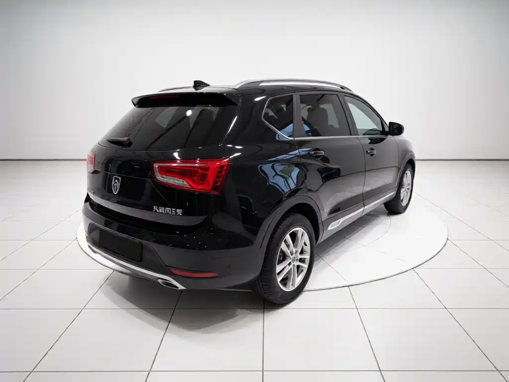 Фото 4 - Baojun 560