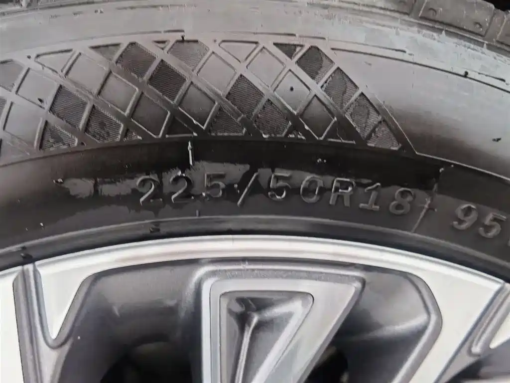 Hongqi H5 2023 2.0T Auto Smart Connect Flag Comfort фото 24