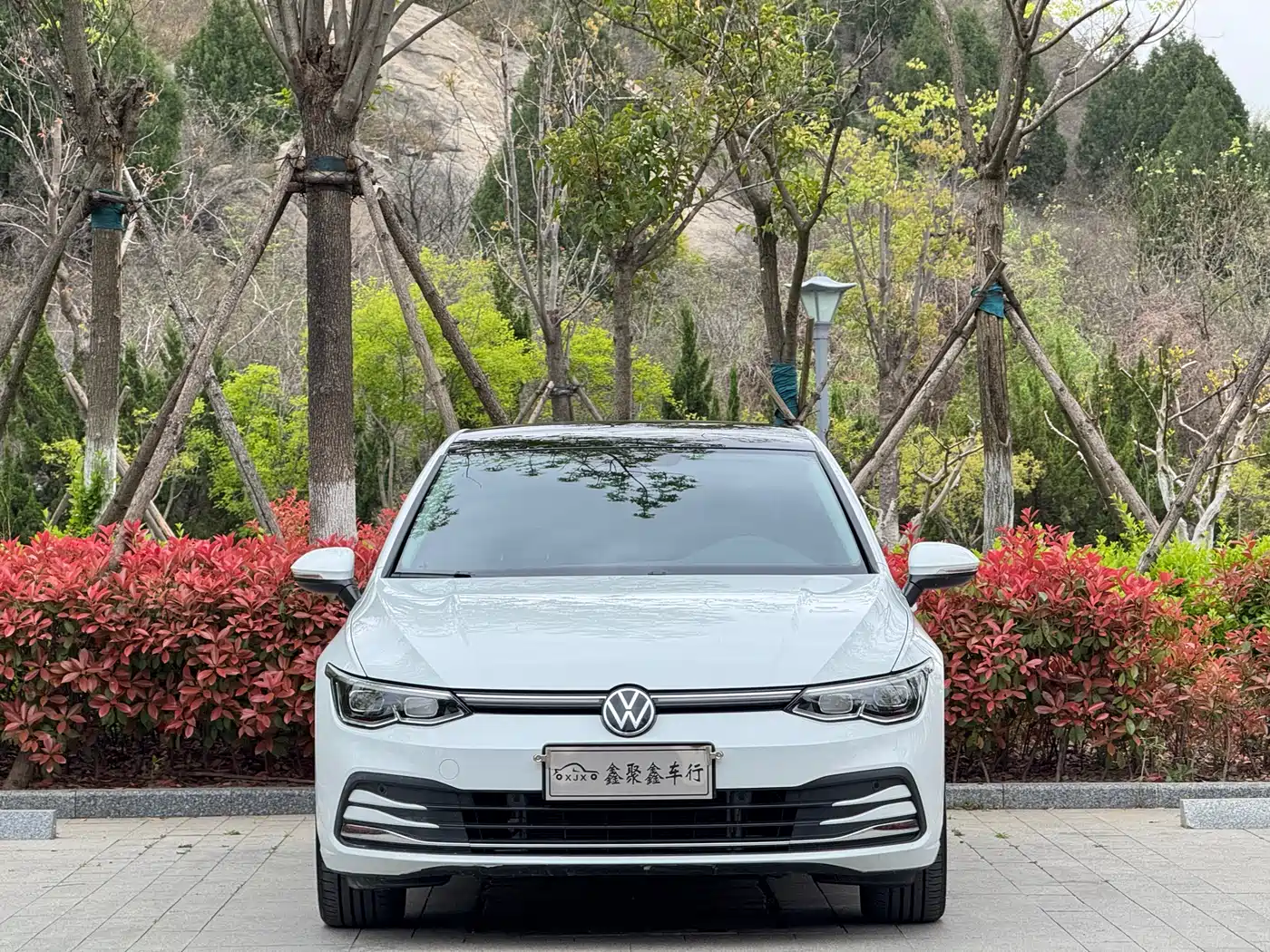 Volkswagen Golf 2024 280TSI DSG Pro 50th Anniversary Edition фото 2