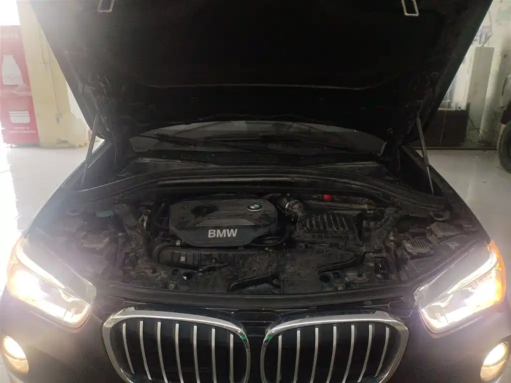 BMW X1 2016 sDrive20Li Luxury Model фото 20