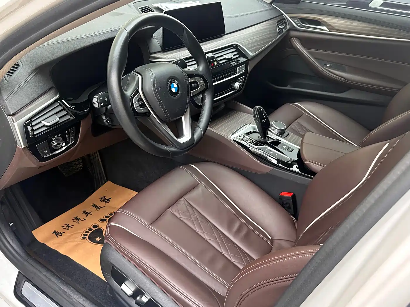 BMW 5 SERIES NEW ENERGY