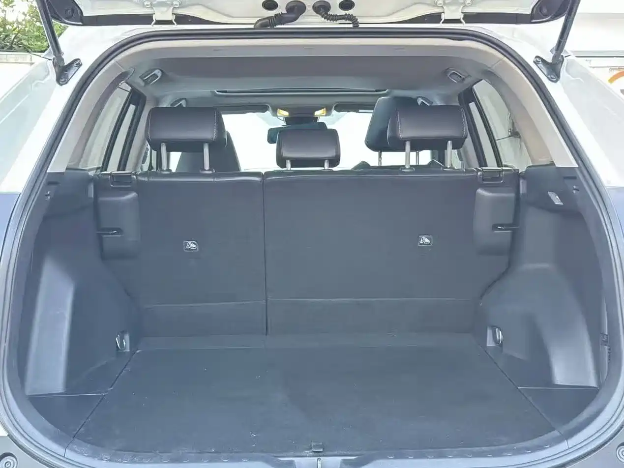 Toyota RAV4 Rongfang 2021 2.0L CVT 2WD Trend PLUS фото 5
