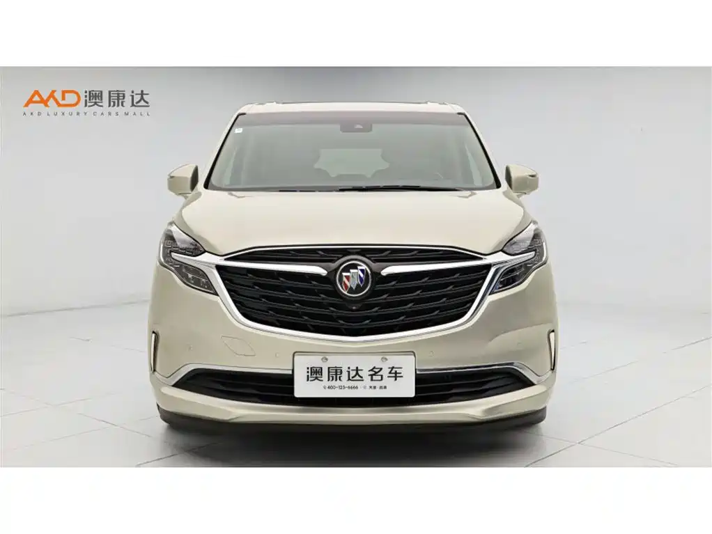 Buick GL8 2020 Model ES Landglory 653T Luxury фото 2