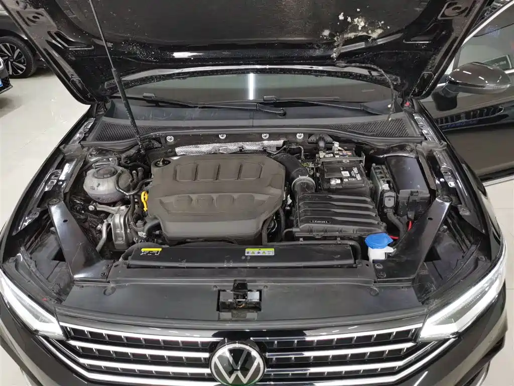 Volkswagen Magotan 2026 Model 30 Million Special Selection 380TSI DSG Luxury фото 20