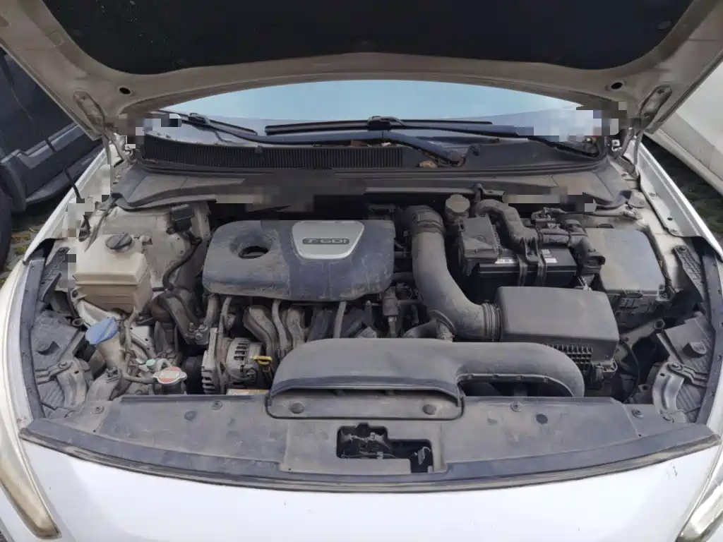 HYUNDAI NAME PICTURE