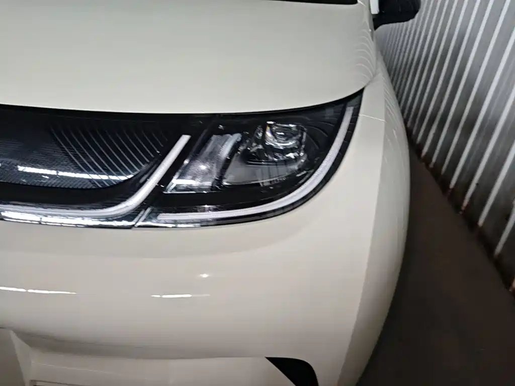 BYD Dolphin 2026 2025 420km Freedom Edition
