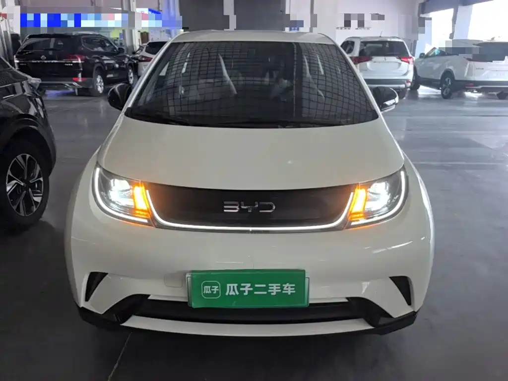 Photo 3 - BYD Dolphin