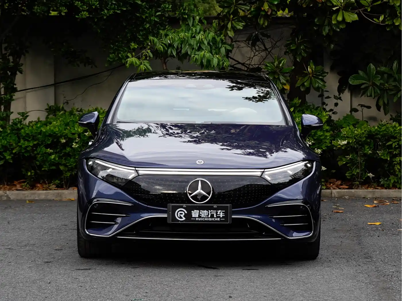 Mercedes-Benz EQS 2022 450+ Luxury Edition фото 2