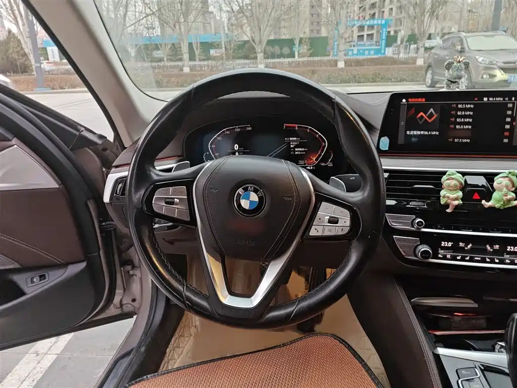 BMW 5 Series 2020 530Li Premium Luxury Package фото 3