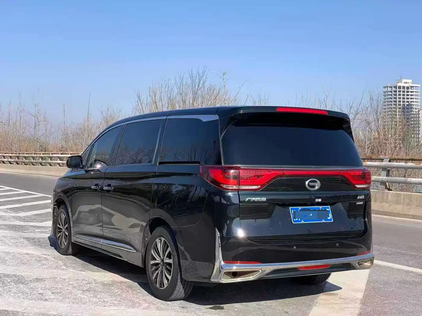 GAC Trumpchi Trumpchi M8 2021 Leading Show Series 390T Premium Edition фото 12