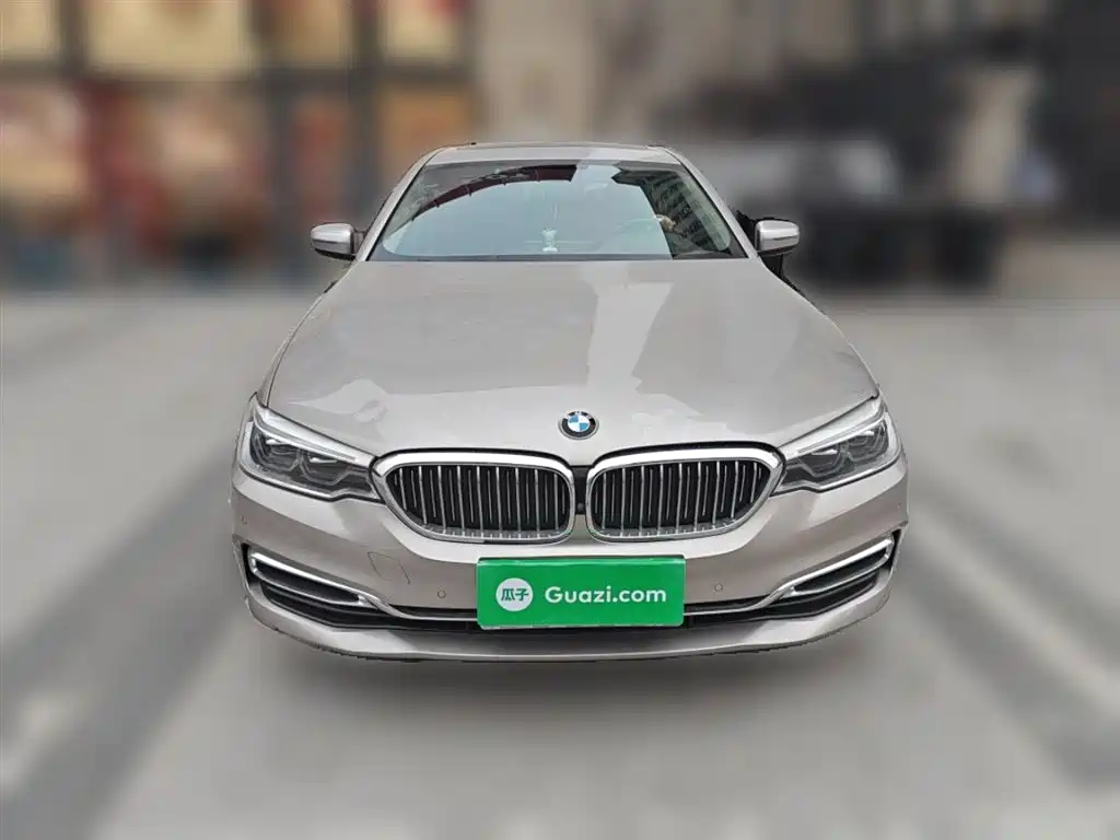 BMW 5 Series 2020 530Li Premium Luxury Package фото 24