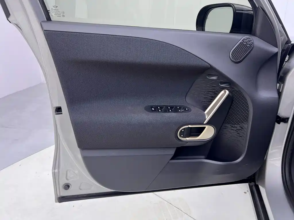 MINI Electric MINI ACEMAN 2025 2024 Model SE Artist