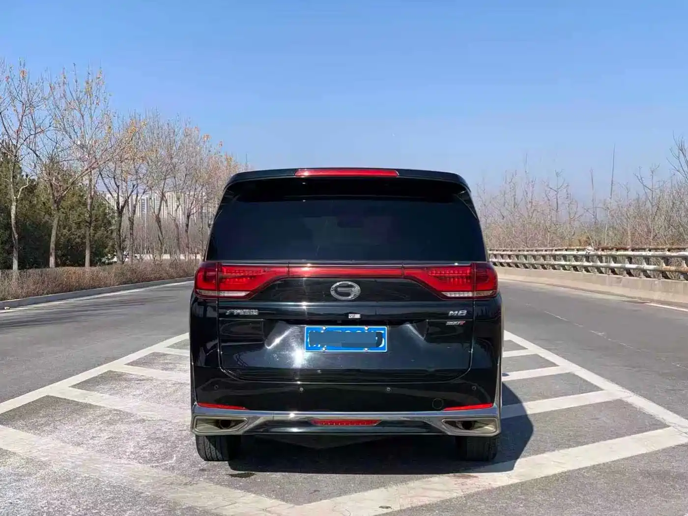 GAC Trumpchi Trumpchi M8 2021 Leading Show Series 390T Premium Edition фото 11