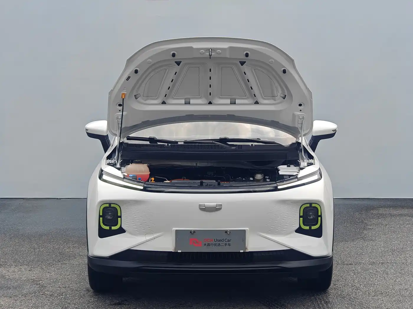 Geely Geometry E Firefly 2023 2023 401KM Linglong Tiger 5-Seater