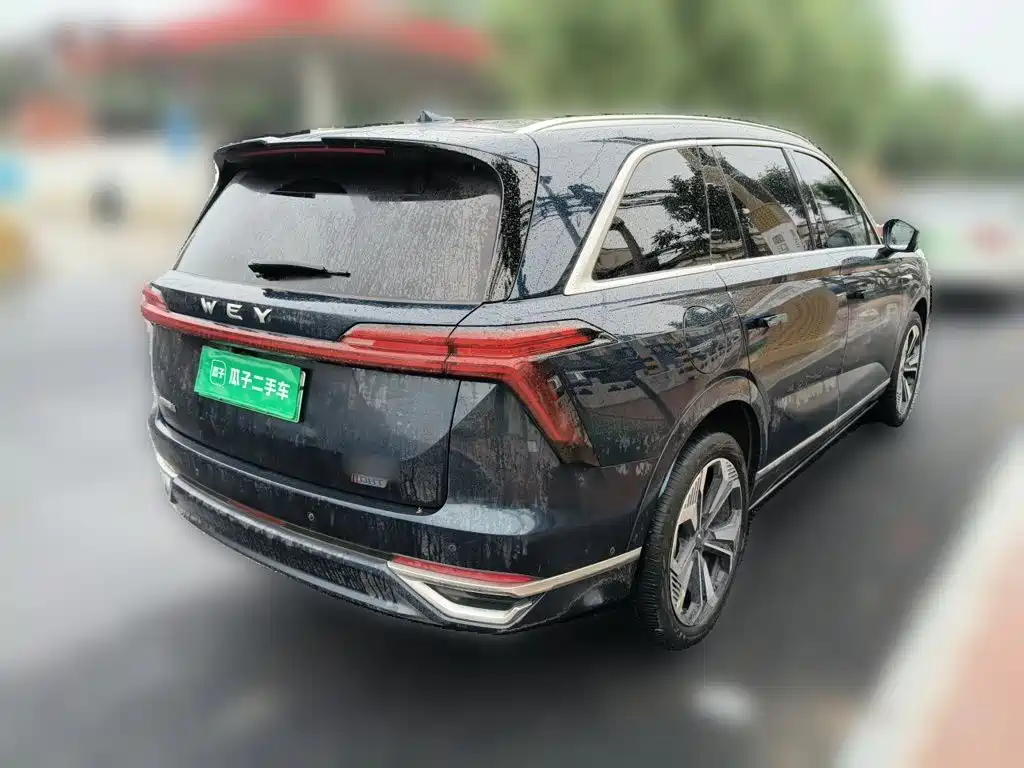 WEY Lanshan 2024 2023 AWD Ultra Long Range Edition