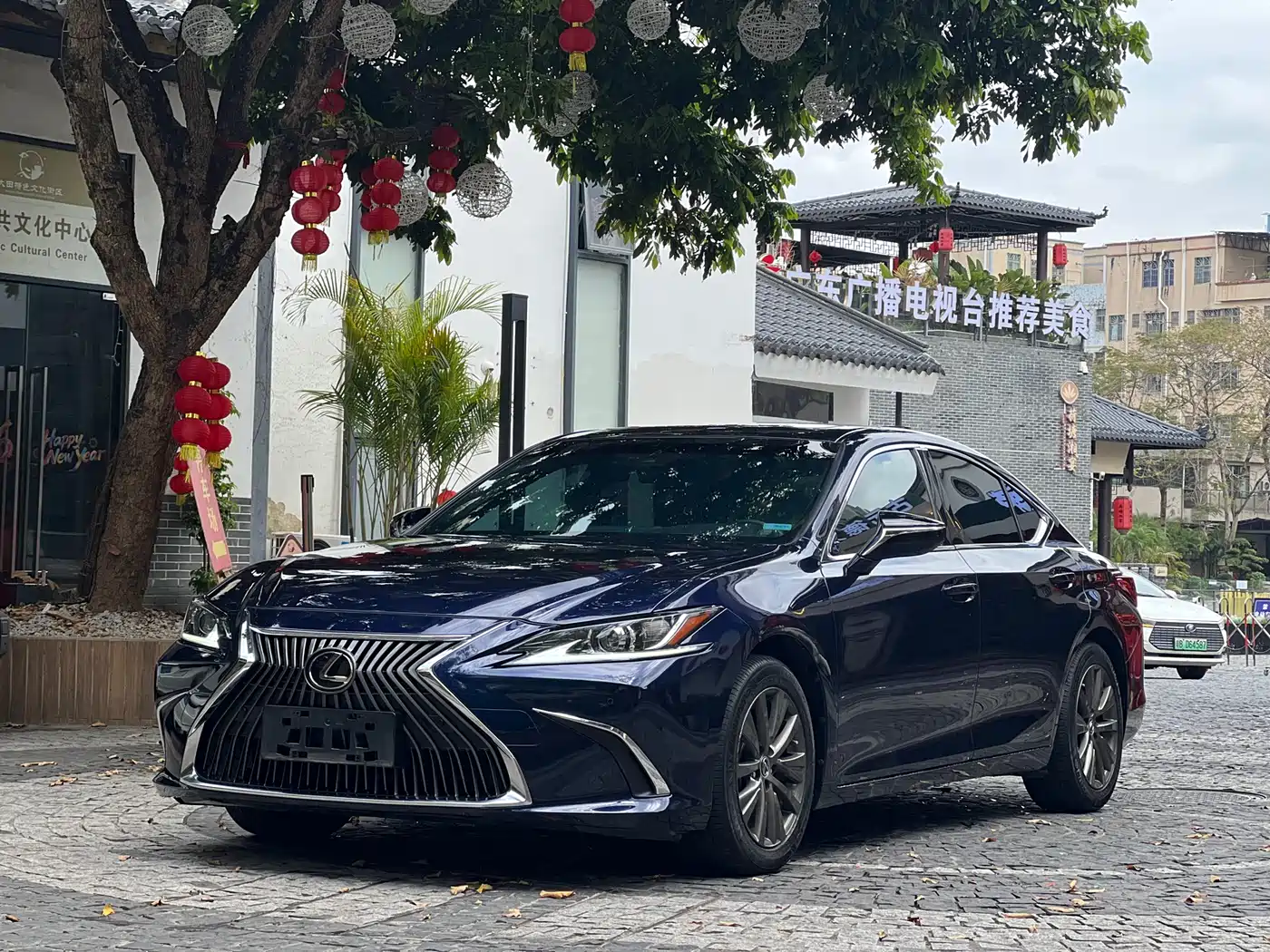 Lexus ES 2020 Model 260 Excellence Edition