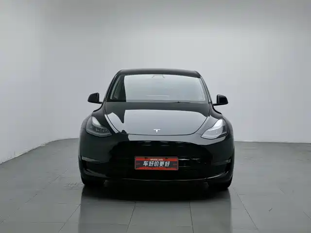 Tesla Model Y 2021 Standard Range Rear-Wheel Drive — фото 3
