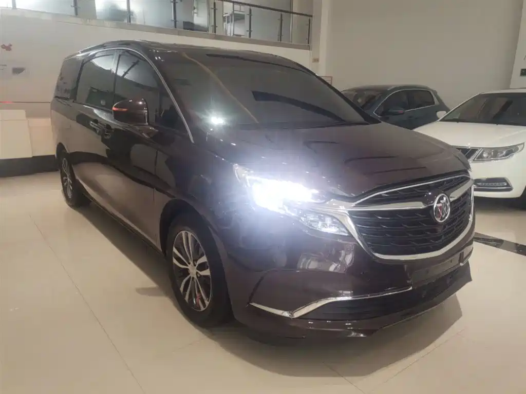 Buick GL8 2020 Model ES Landglory 653T Comfort фото 22