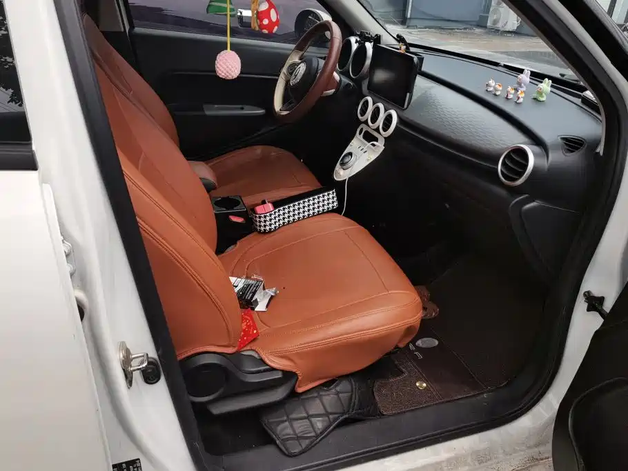 Ora Black Cat 2022 2022 Facelift 301km Pet Edition LFP Version