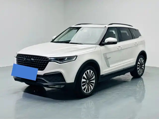 ZOTYE T700 2019