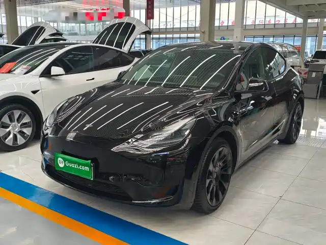 Tesla Model Y 2022 Rear-Wheel Drive Version