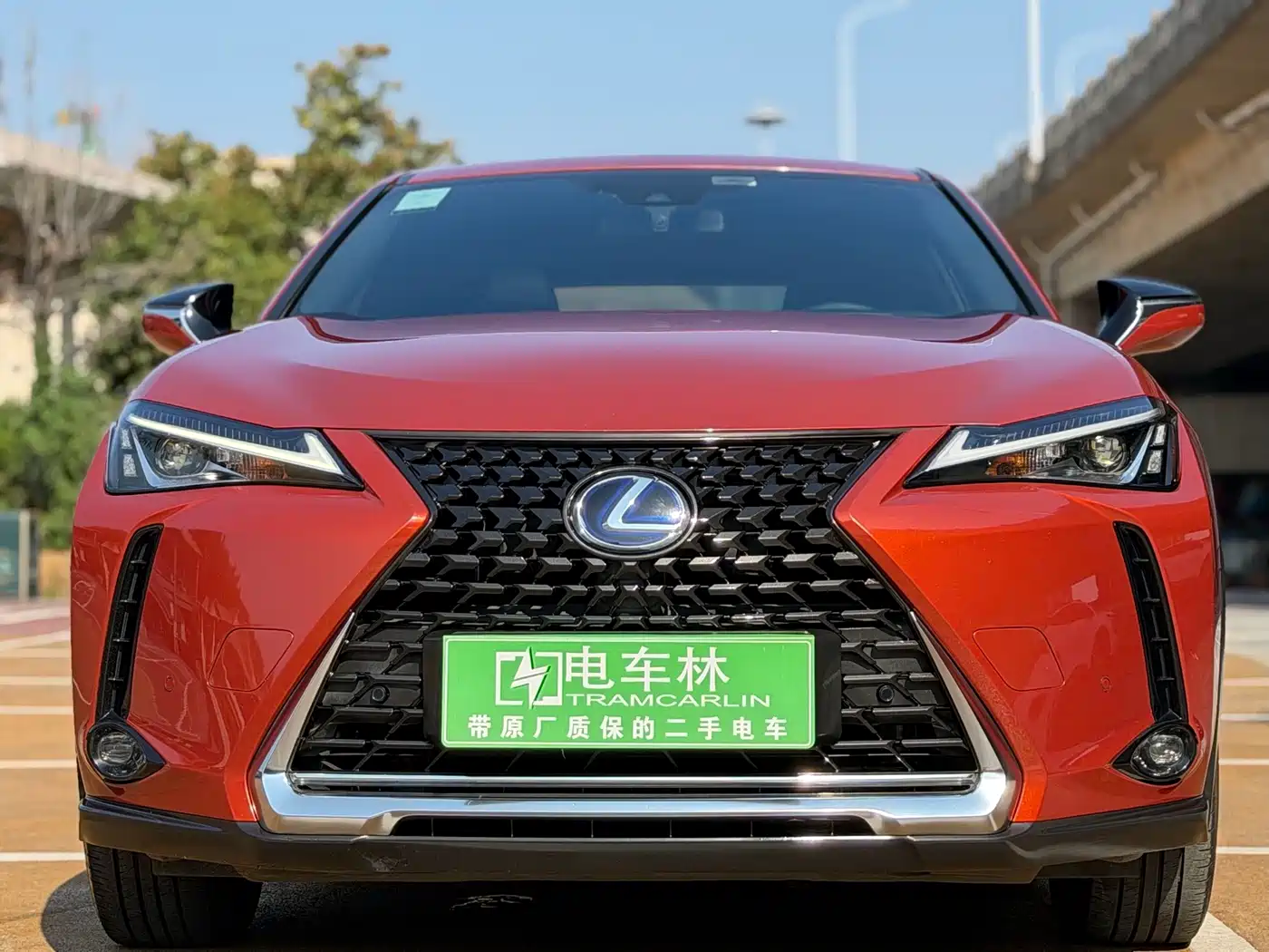 Lexus UX Electric 2020 2020 300e Pure Yue Edition