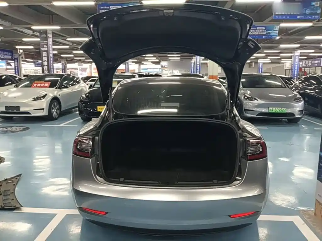 Tesla Model 3 2020 2020 Standard Range Rear-Wheel Drive Upgrade