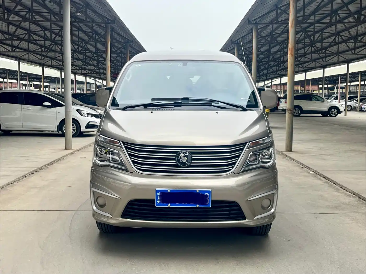 DONGFENG LINGZHI