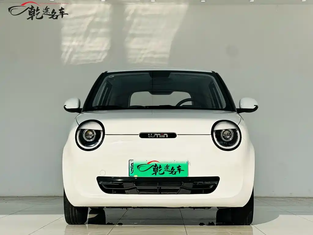 Фото 2 - Changan Lumin