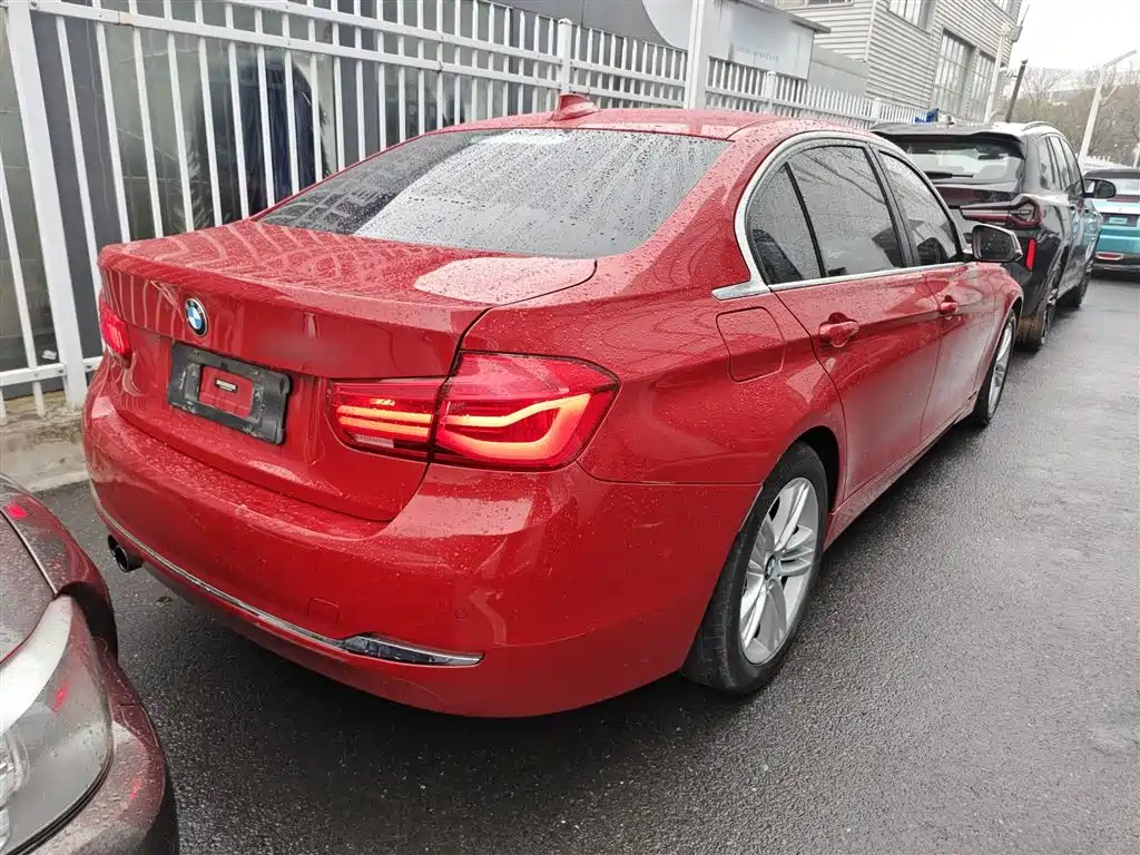 BMW 3 Series 2017 320Li Fashion фото 7