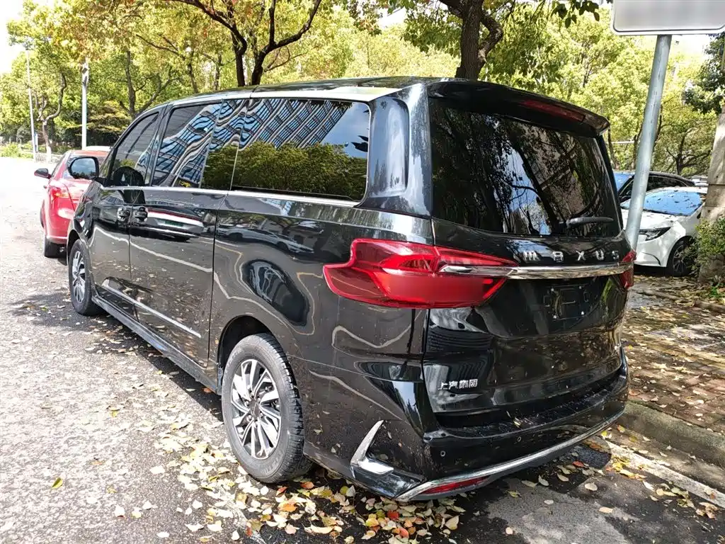 SAIC Maxus Maxus G20 2020 2.0T Gasoline Automatic Luxury фото 23