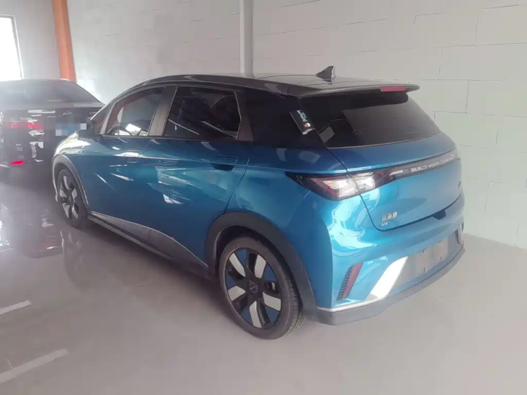BYD Dolphin 2021 2021 401km Knight Edition
