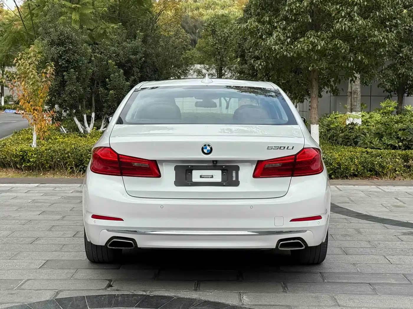 BMW 5 Series 2018 Facelift 530Li Exclusive Luxury Package фото 8
