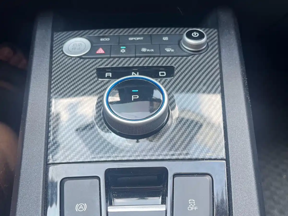 BYD e2 2021 2021 Comfort Model