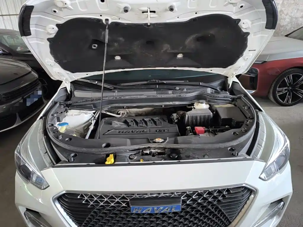 Фото 20 - Haval M6