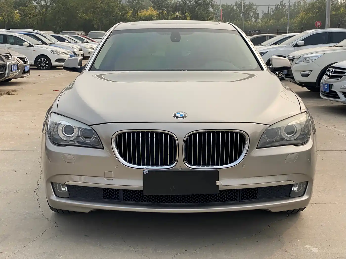 BMW 7 Series 2011 730Li Elegance фото 3
