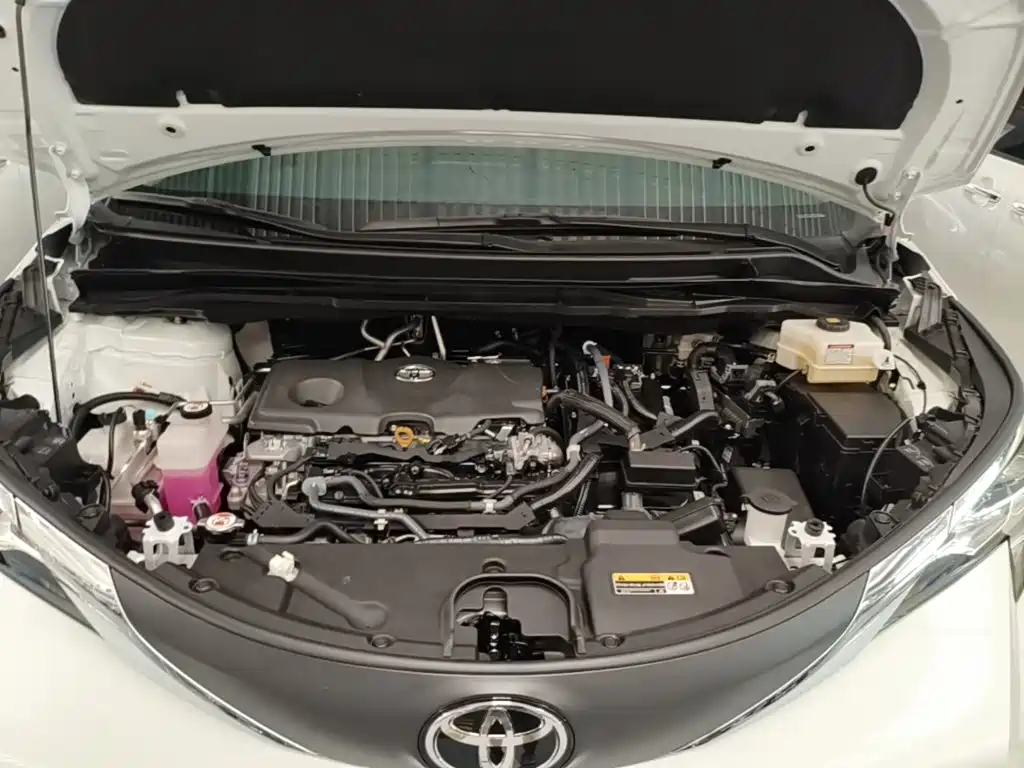 Toyota Sienna 2025 2024 2.5L Hybrid Comfort Edition
