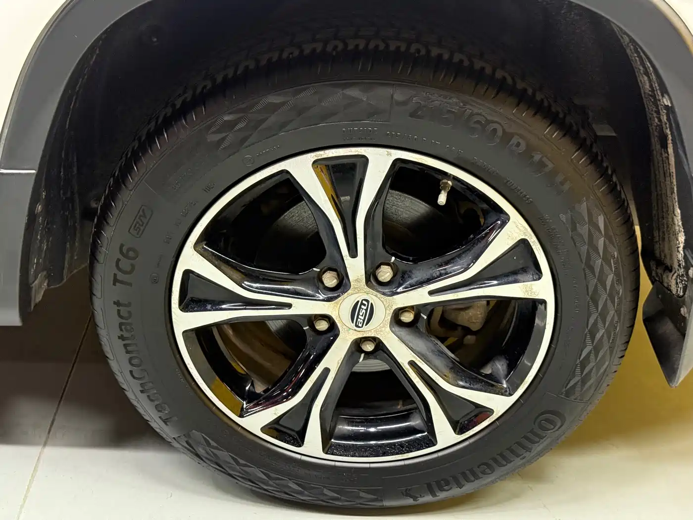 Bisu Auto Bisu T5 2017 2017 1.5T Automatic Premium