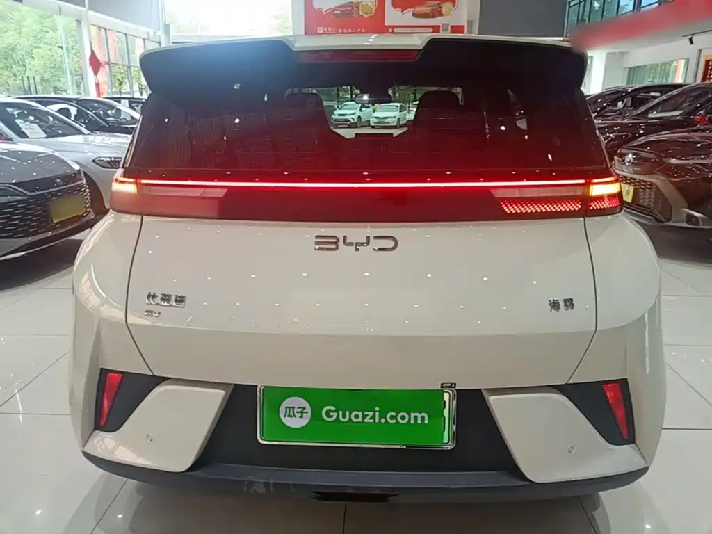 BYD Seagull 2026 2025 Smart Drive Edition 305km Vitality Version