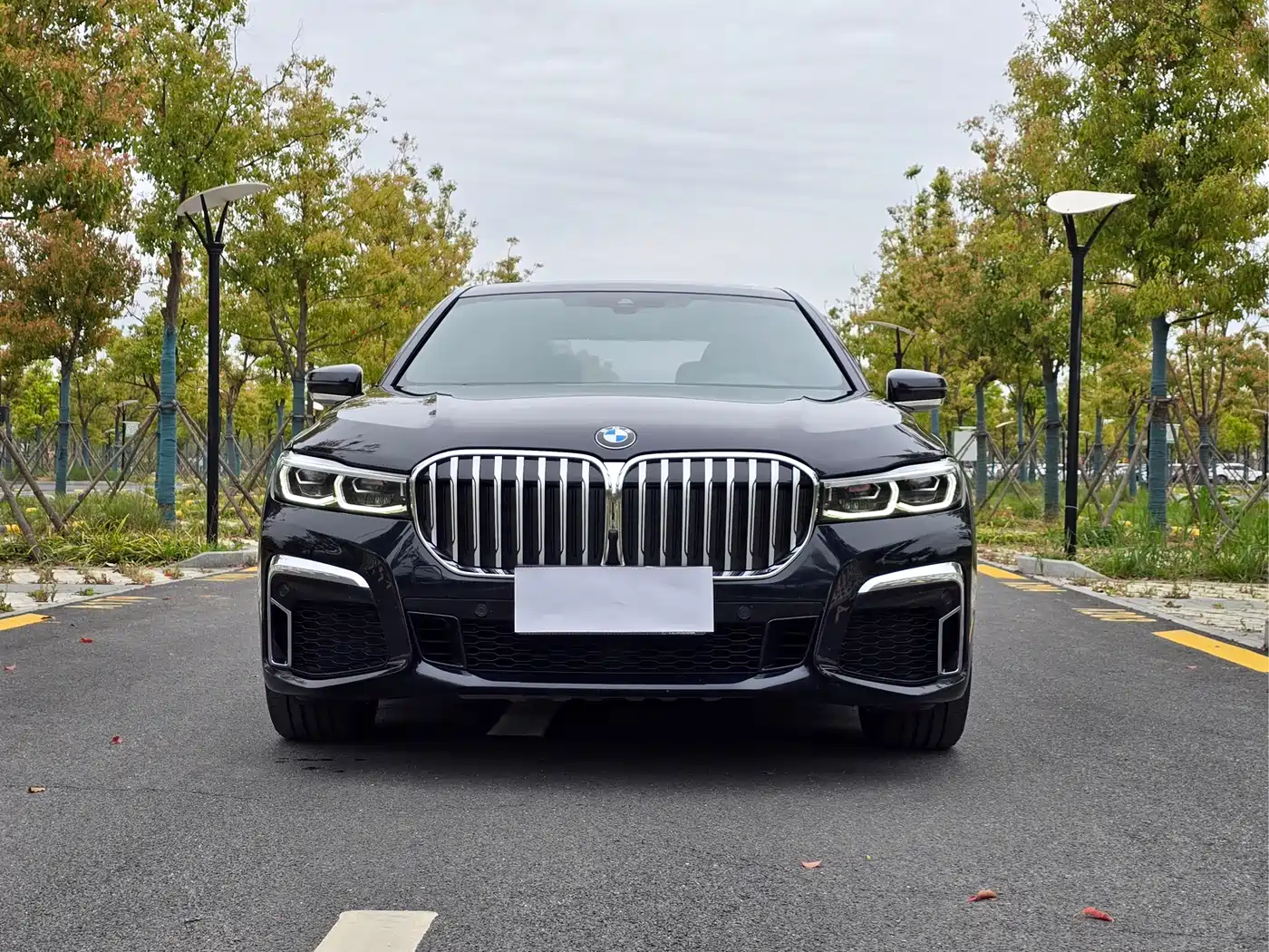 BMW 7 Series 2019 730Li M Sport Package фото 2