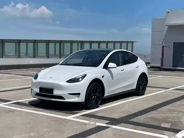 Tesla Model Y Увеличенный запас хода, полный привод
